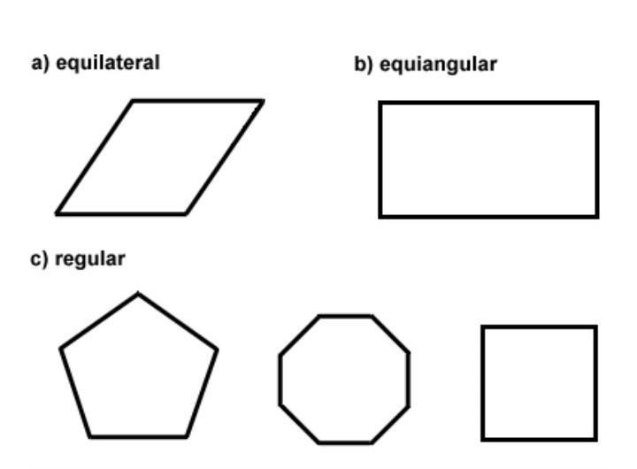 Which completely describes the polygon?-example-1