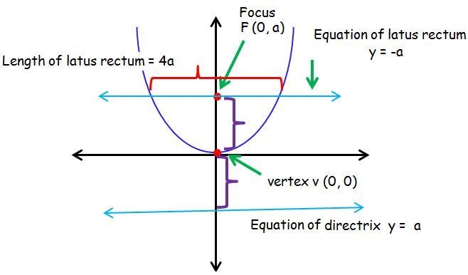 Can someone help me understand latus rectum for algebra??-example-2