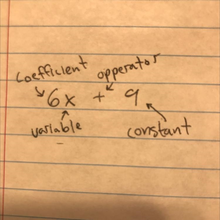 1. identify the coeffieceint: 6x + 19-example-1