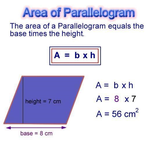 SHOW ALL THE STEPS YOU USED TO SOLVE THIS. NO LINKS PLEASE​-example-1