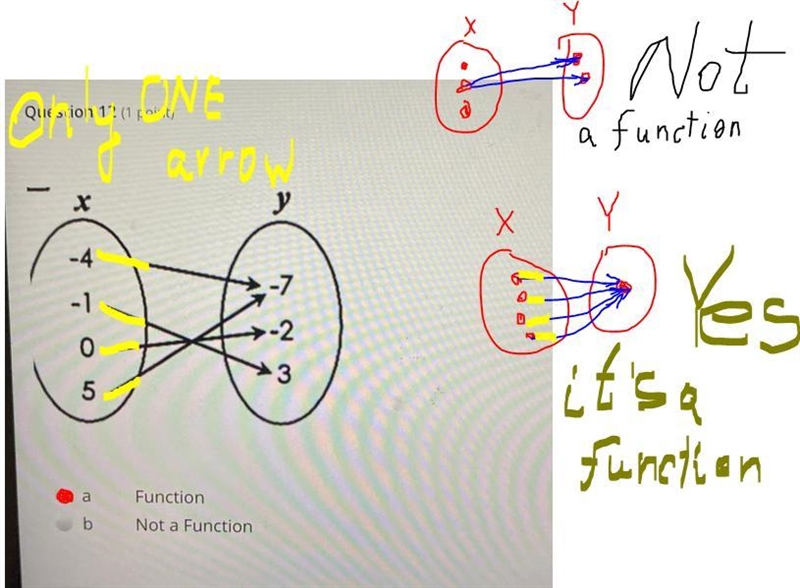 I need to know if this is a function or not pls help-example-1