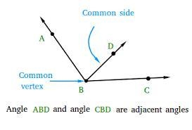 Adjacent Angles: Answer:​-example-1