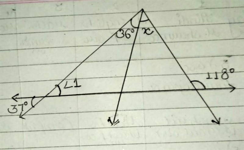 Find the value of x pls .-example-1