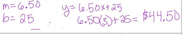 PLEASE HELP! NEED HELP NOWWWW!!!! PLS! HELPPPP Write the linear equation for the following-example-1