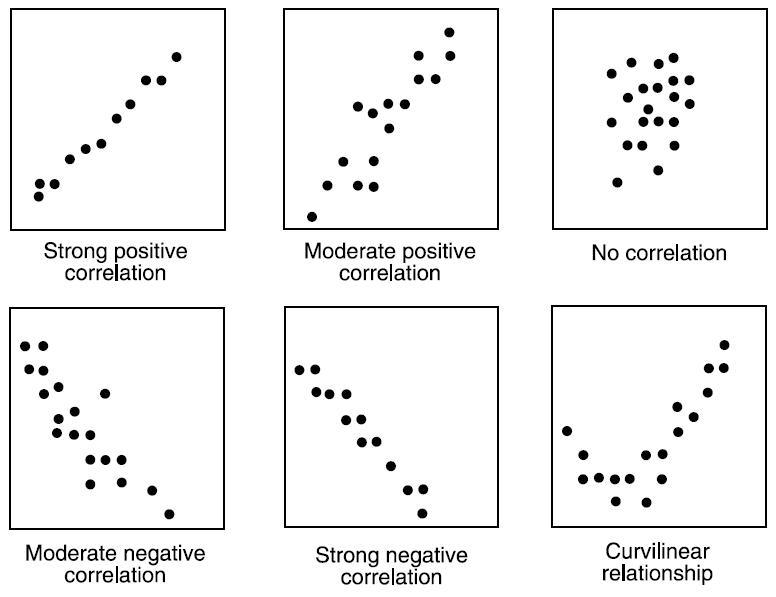 What type of correlation do the data in the graph show? A. Negative correlation B-example-1