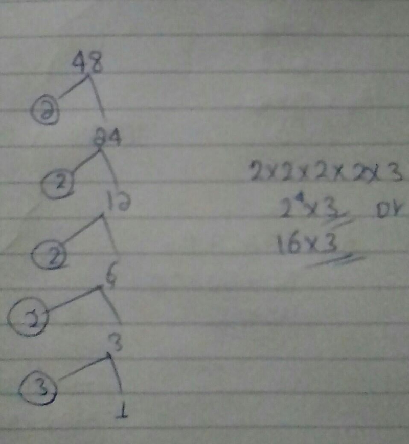 The prime factorization of 48 is-example-1