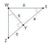 Triangle Z W X is shown. Angle Z W X is a right angle. An altitude is drawn from point-example-1