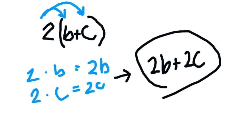 2(b+c) please help me with this question.-example-1