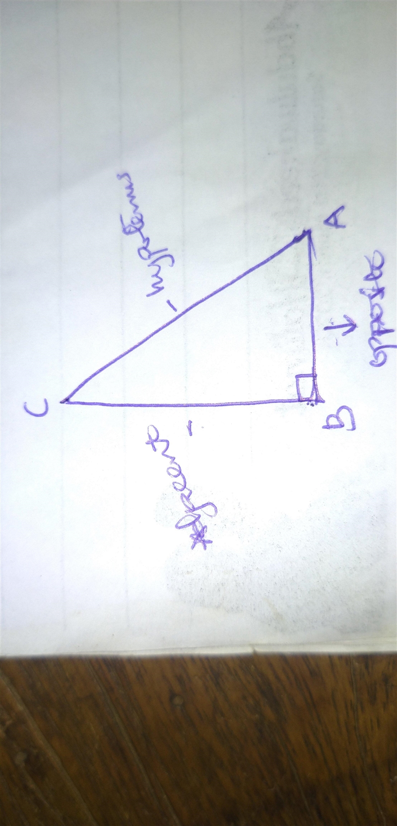 Using ABC, identify the ratio for sine of C​-example-1