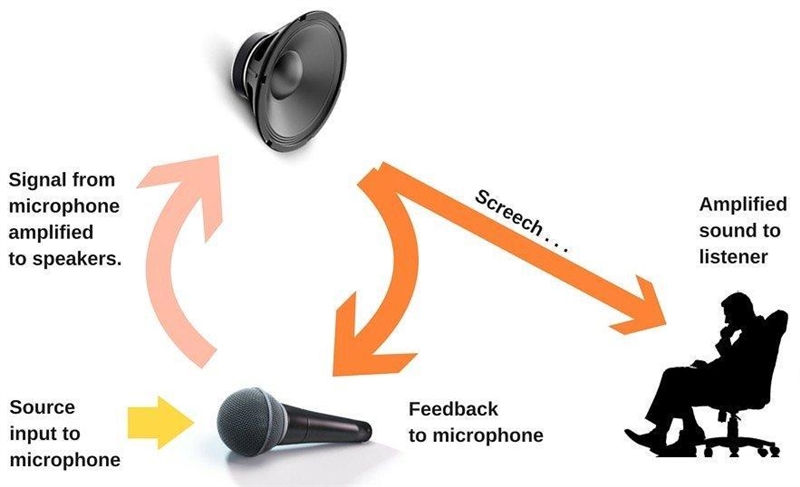 Define positive feedback in systems and explain how positive feedback is responsible-example-1