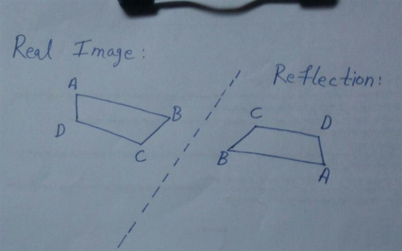 How do you reflect it correctly-example-1