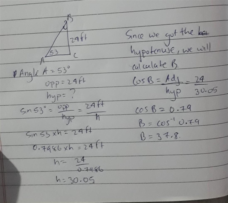 Please help me with the questions-example-1