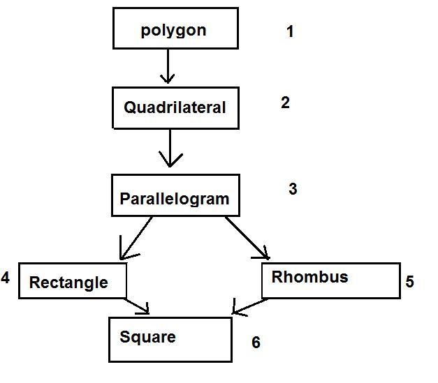 1. A partially completed chart shows the hierarchy of a set of polygons. Move a term-example-1