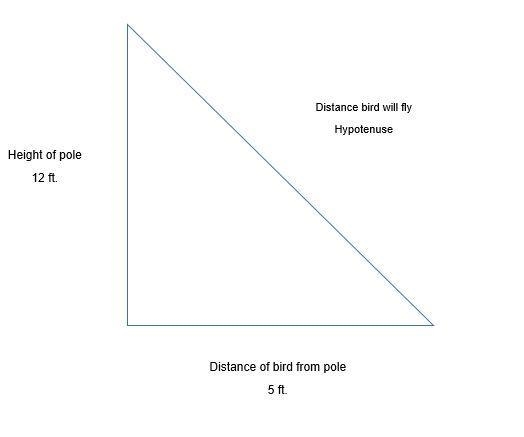 A telephone pole is 12 ft tall. A bird is feeding 5 ft away from the pole on the ground-example-1