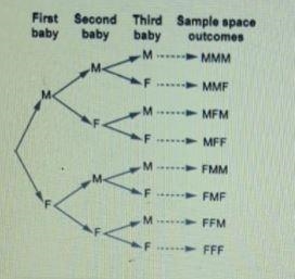 Kias mom is having triplets. Each baby could either be male or female. Which outcome-example-1