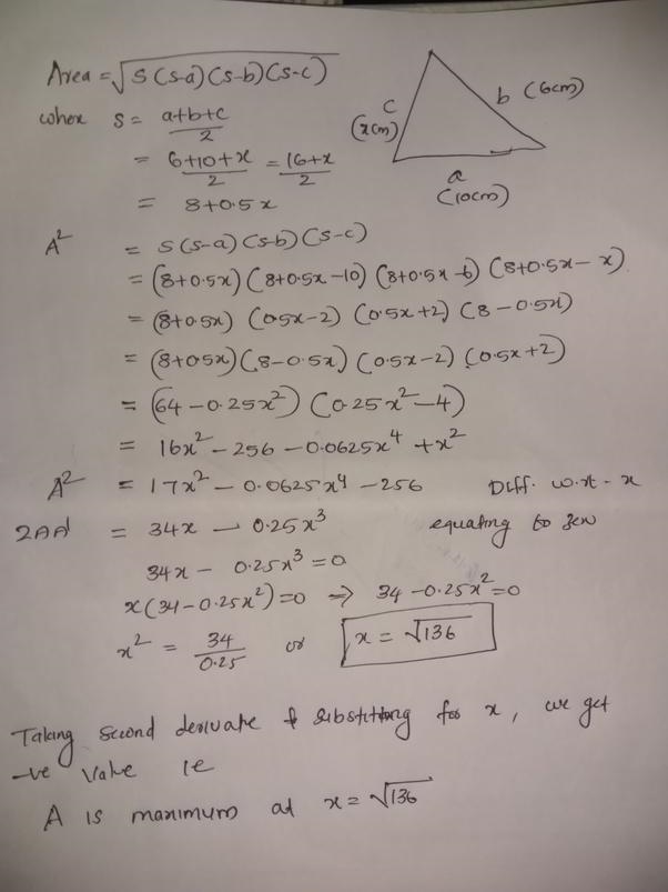 100 POINTS PLEASEEEES HELP ASAP DUE TONIGHT. Sketch several triangles with one side-example-1