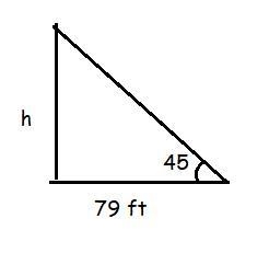 The angle of elevation to a nearby tree from a point on the ground is measured to-example-1