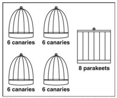 The wild things pet store has 4 birdcages with 6 canaries in eacg cage. The pet store-example-1