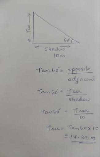 . A tree casts a shadow that is 10 metres long. If the angle of elevation to the top-example-1