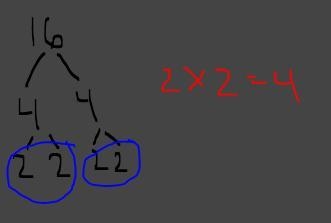 Which number below is a perfect square? 15 19 16 20 ​-example-1