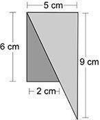 Granny needs to paint a Loge made using two right triangles the dimensions Of the-example-1