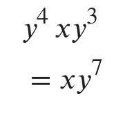 Find the product. Y^4 x Y^3-example-1