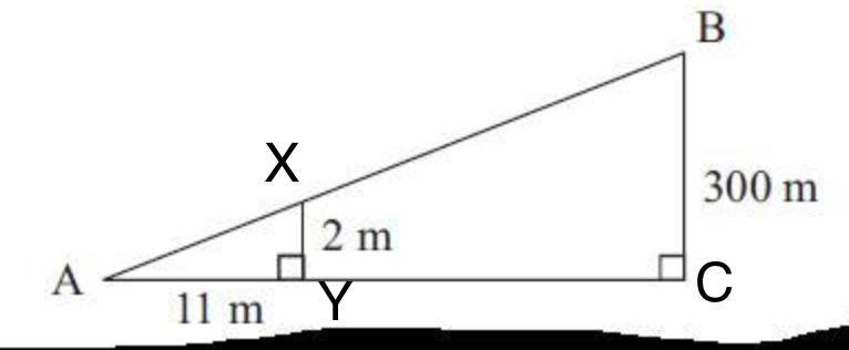 This question is from the similarity chapter. It would be really kind of you if you-example-1