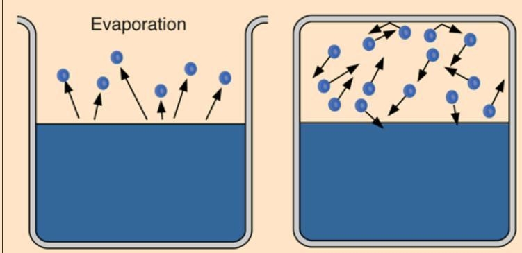 In which phenomenon does water change into water vapour below its-example-1