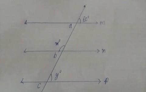 In the adjoining figure, m||n||p and l is a transverse , find the value of x and y-example-1