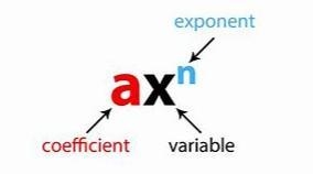 Write the coefficient of x in the following term. 24x-example-1