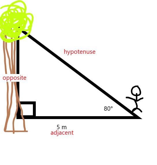 Aiko stands 5 m from a tree. At that distance, the angle of elevation from the ground-example-1