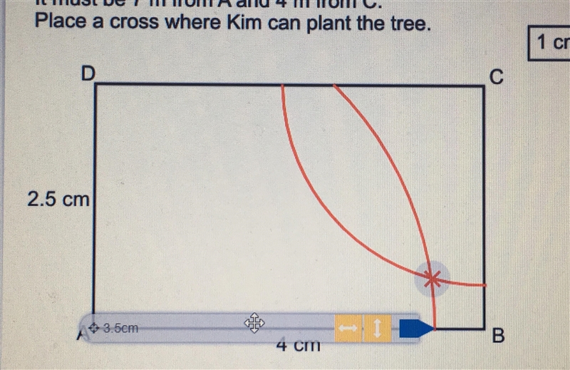 Here is a scale drawing of a garden. Kim wants to plant a tree in the garden according-example-2