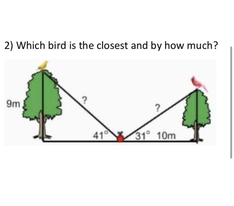 Which bird is closest and by how much-example-1