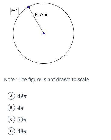 The radius of the circle is 7cm. What is the area of the circle in cm2? Leave the-example-1