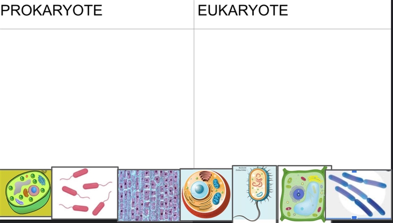 Put the cells in the right spot please :(-example-1