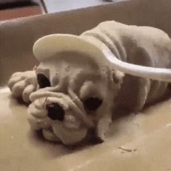 Yummy doggo lol .....................-example-1