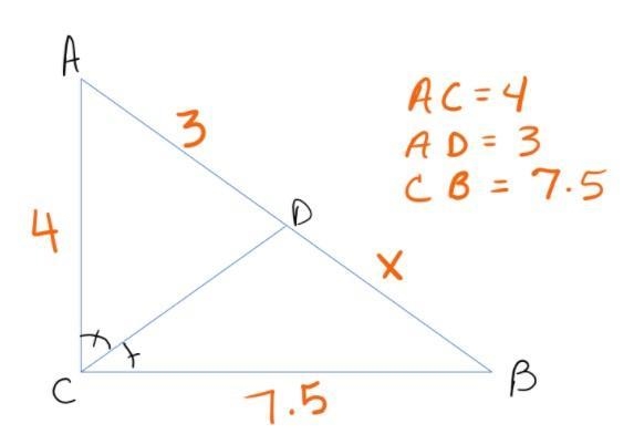 Please help. What is the value of x?-example-1