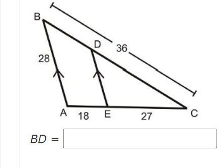 Find the indicated side. Round to the nearest tenth if necessary.-example-1