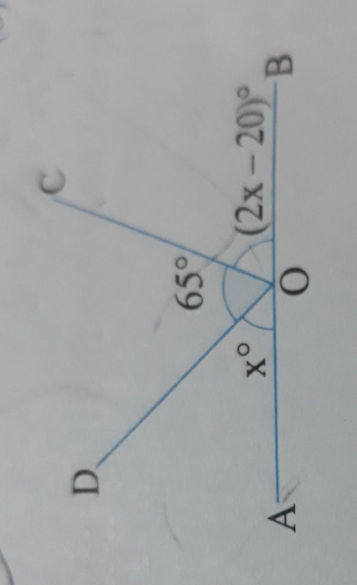 -D 2. Find the value of 'x' in the given figures:​-example-1