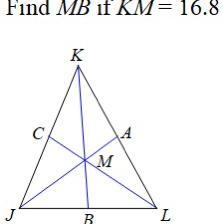 Round your answer to the nearest tenth.-example-1