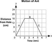 !!!PLEASE HELP!!! The distance, y, in centimeters, of an ant from a hole in the tree-example-1