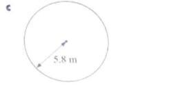 Find the circumference-example-1