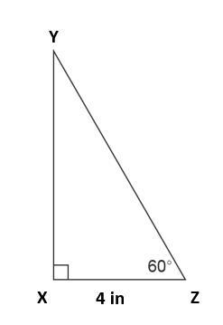 What is the area of "triangle " XYZ to the nearest tenth of a square inch-example-1