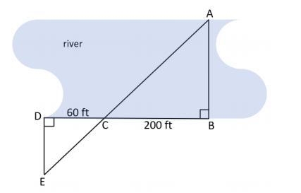 1. Paulina wants to find the width, AB, of a river. She walks along the edge of the-example-1