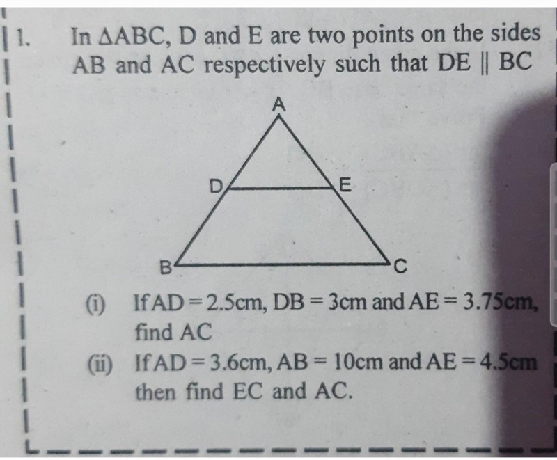 Some one please help me this question. No spam please ​-example-1