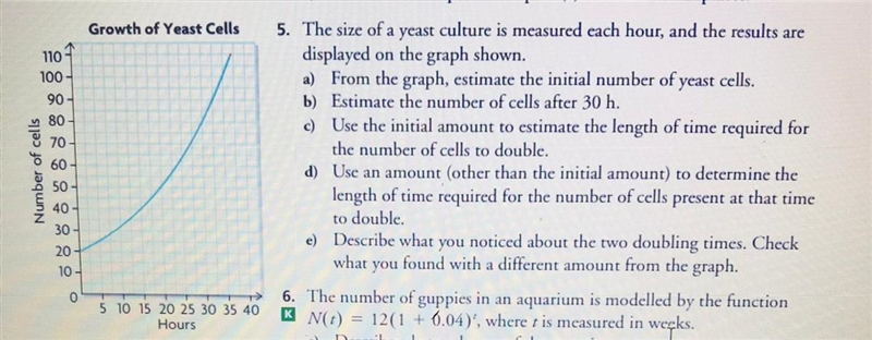 Help with number 5 (c,d) pleaseee!!!-example-1