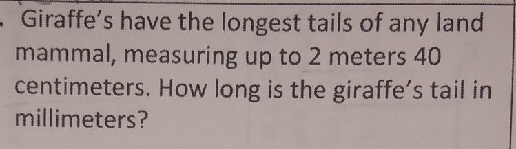 Can someone please answer and plz explain too​-example-1