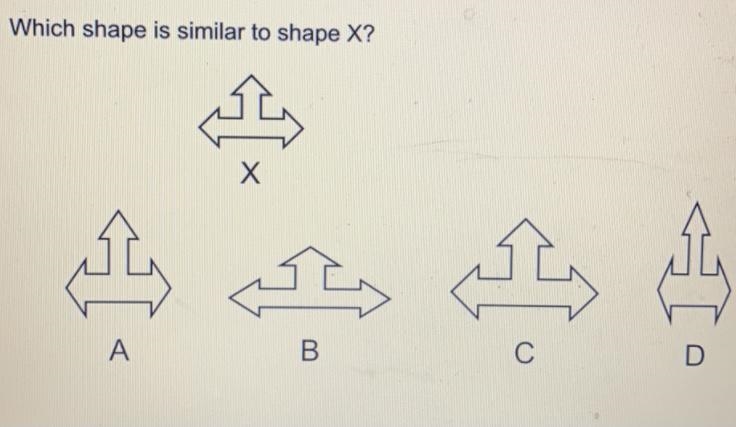 Need help with this pls!!-example-1