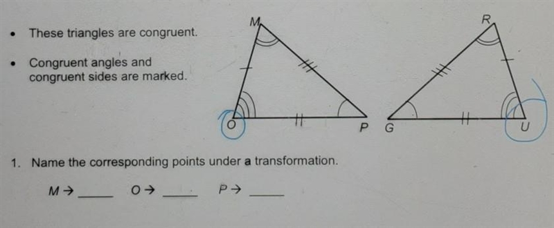 Can somebody actually help im so lost rn​-example-1