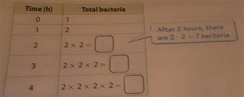 Complete each statement At 2 hours, the total is equal to the product of two 2's At-example-1